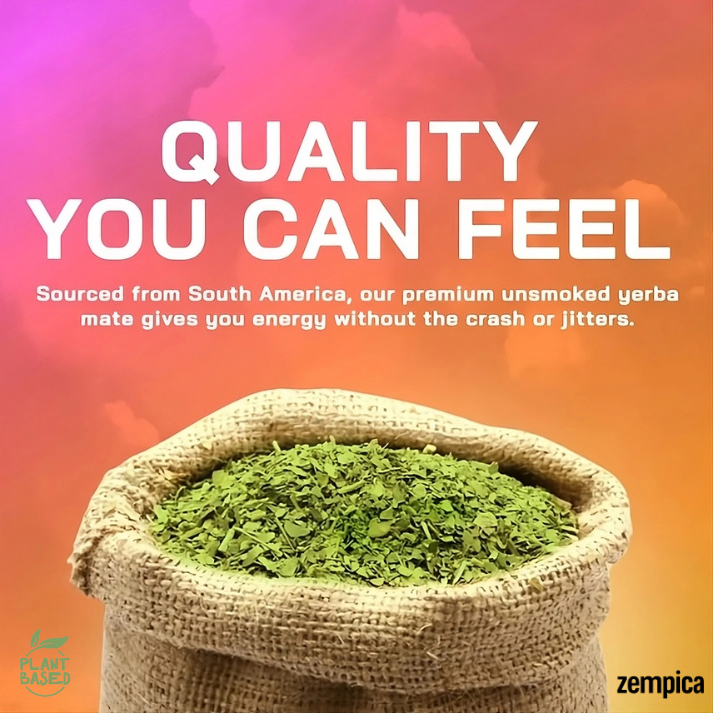 Zempica Yerba Mate Capsules – Natural Performance Booster