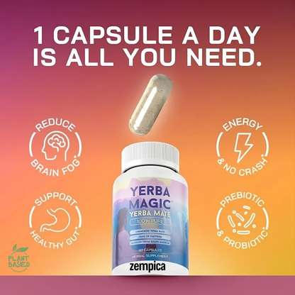 Zempica Yerba Mate Capsules – Natural Performance Booster