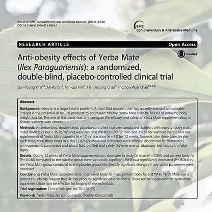 Fast-Acting Yerba Mate Tea - Boost Energy, Focus & Bloating